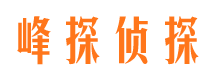 赫山市婚外情调查